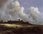 View of Grainfields with a Distant town Jacob van Ruisdael